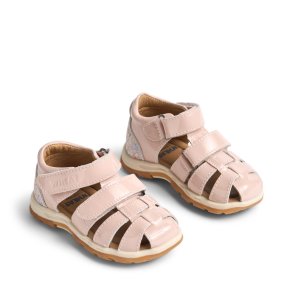 Wheat - Sandal Frei Powder