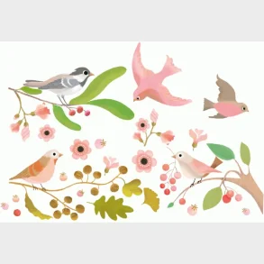 Djeco - Vindue Stickers Fugle