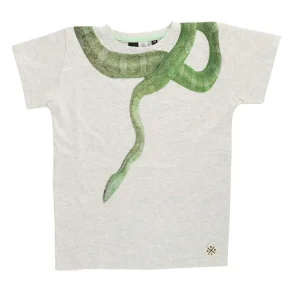 Molo T-shirt Rockford - Snow Melange