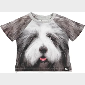 Molo T-Shirt Even Hairy Dog