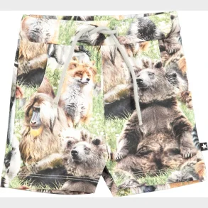 Molo Babyshort - Simroy Hairy Animals