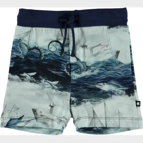 Molo Babyshort - Simroy Sailor Stribe