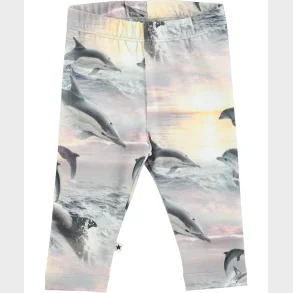Molo - Leggings - Stefanie - Dolphin Sunset