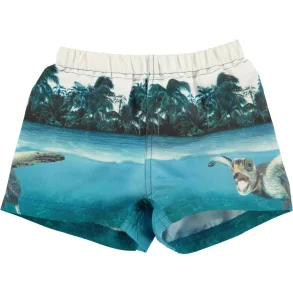 Molo - Badebukser - Newton Singing Turtle