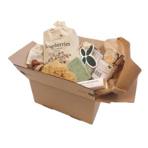 Cocoon Company Sbebr - Den Grnne Pakke - 5 dele